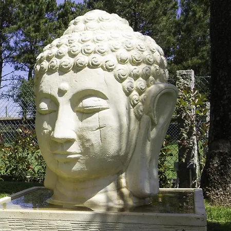 In Sanxenxo With Sea View & Pool Feriehus *